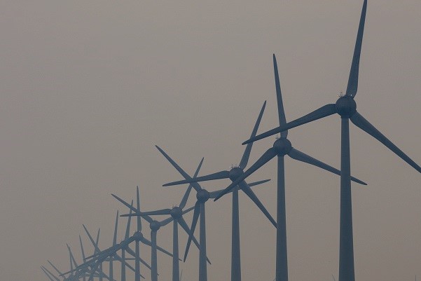 row of windmills